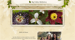 Desktop Screenshot of bigvalleymidwives.com